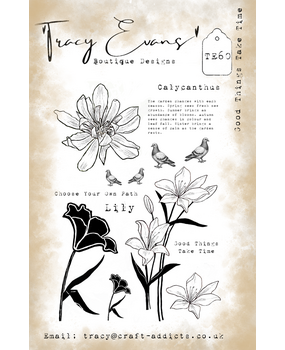 Tracy Evans Clear Stamp Good Things Take Time TE060