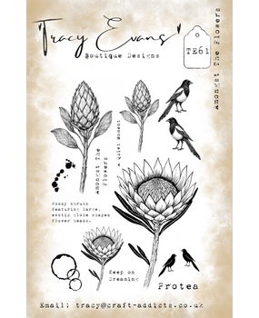 Tracy Evans Clear Stamp Amongst the Flowers TE061