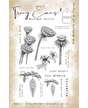 Tracy Evans Clear Stamp The Miracle of a Flower TE059
