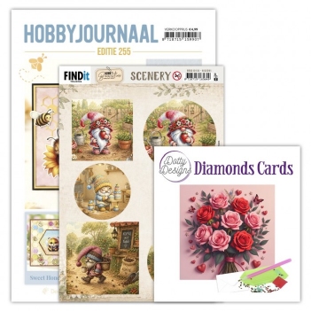 Hobbyjournaal 255 set   SETHJ255