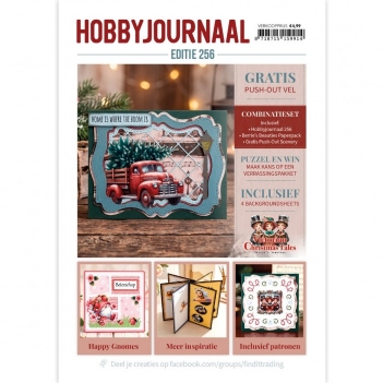 Hobbyjournaal 256   HJ256
