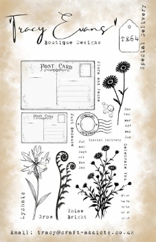 Tracy Evans Clear Stamp Special Delivery TE064
