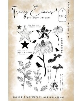 Tracy Evans Clear Stamp A Promise of Tomorrow TE063