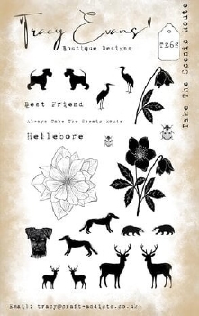 Tracy Evans Clear Stamp Take the Scenic Route TE068