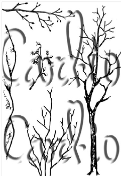 Card-io Clear Stamp Lovely Landscape CCSTLOV-02