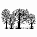Lavinia Clear Stamp Trees LAV052