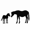 Lavinia Clear Stamp Horse and Foal LAV006