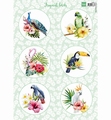 Marianne Design Knipvel Tropical Birds VK9561