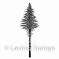 Lavinia Clear Stamp Fairy Fir Tree 2 (Small) LAV492
