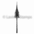 Lavinia Clear Stamp Fairy Fir Tree (Small) LAV489