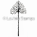 Lavinia Clear Stamp Celestial Tree (Small) LAV488