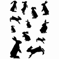 Card-io Clear Stamp Cottontail Capers CCSTCOT-01