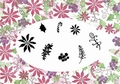 Card-io Majestix Clear Stamp Poinsettias CDMAPO-01