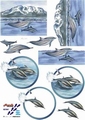 Le Suh Knipvel Dolfijnen 821541