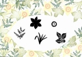 Card-io Majestix Clear Stamp Golden Daffodils MAGO-01