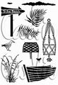 Card-io Clear Stamp Beach Trail CCSTBEA-01