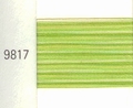 Mettler Borduurgaren Silk Finish Multi kleurnummer 1075-9817