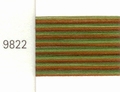Mettler Borduurgaren Silk Finish Multi kleurnummer 1075-9822