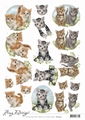 Amy Design knipvel Cats CD11457