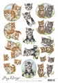 Amy Design knipvel Cats CD11457